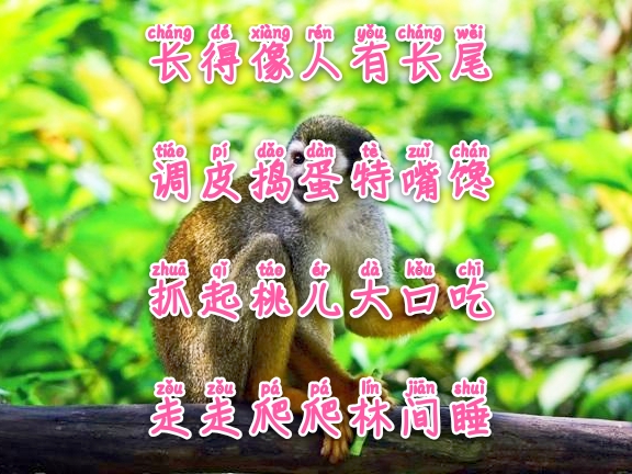 常与孩子猜谜100条儿童谜语建议,儿童睡前谜语简单易懂大全