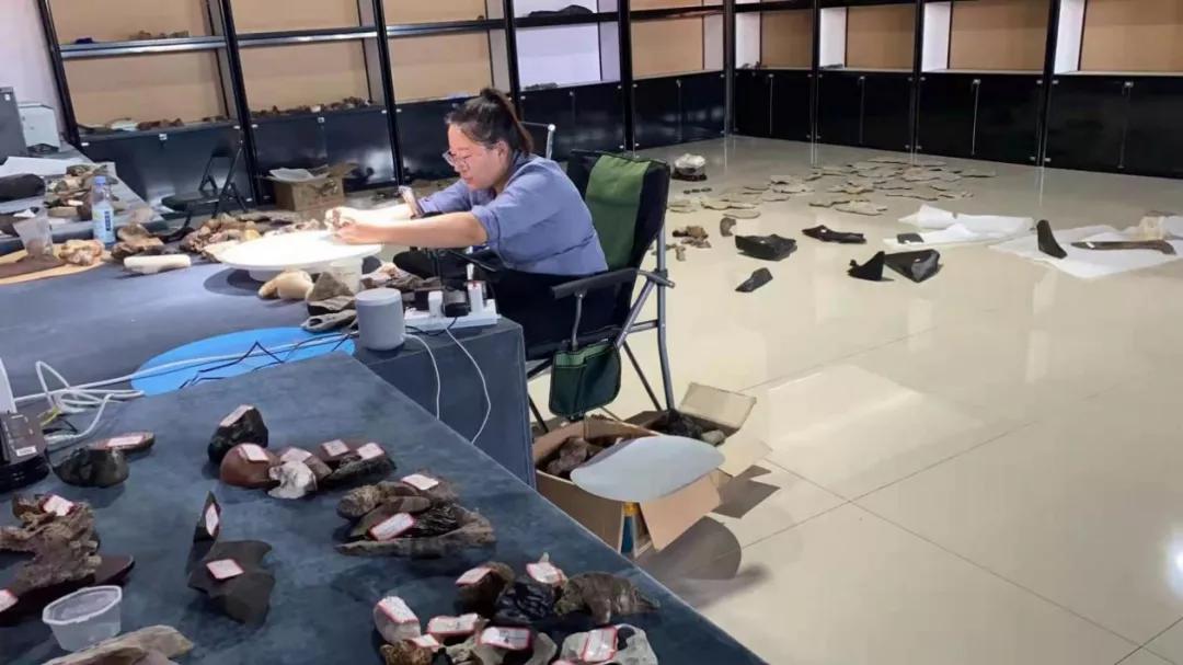 怎样做好微拍堂直播,微拍堂怎样开直播