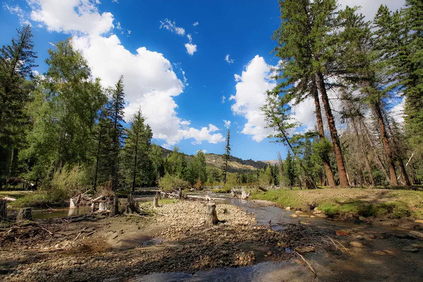 北疆四季,北疆的四季美景