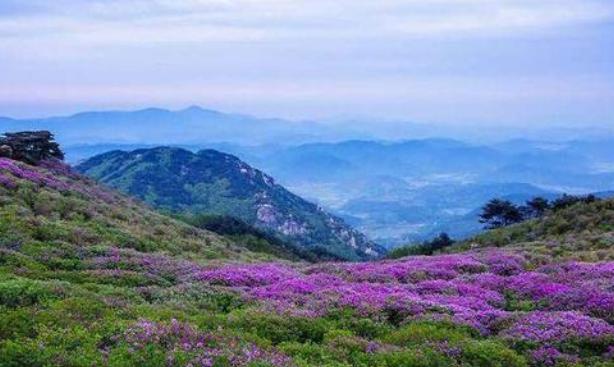 诗词大会第四季董卿唯美开场词,诗词大会第一季董卿唯美开场白