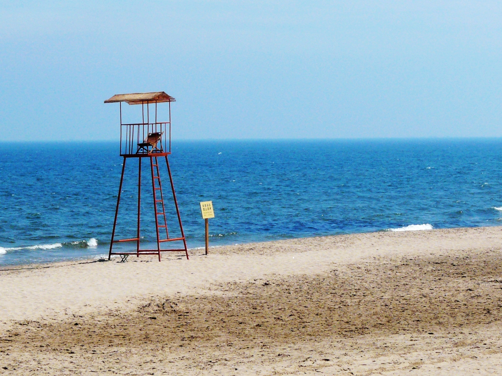 纪念失去后的重生,纪念失去的一切