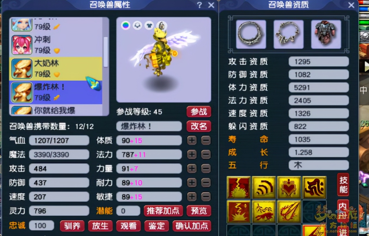 梦幻西游69普陀配号攻略大全,梦幻西游普陀山69带什么法宝