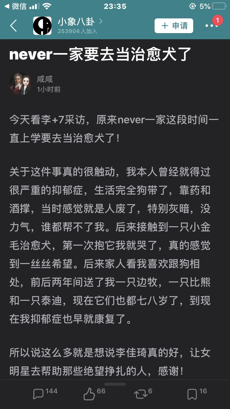 治疗犬到底是怎样的群体？我们的狗狗都能成为治疗犬吗?