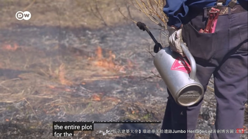 第4027回:气候*弹炸**亚洲纸浆,水上烟泥炭地退化