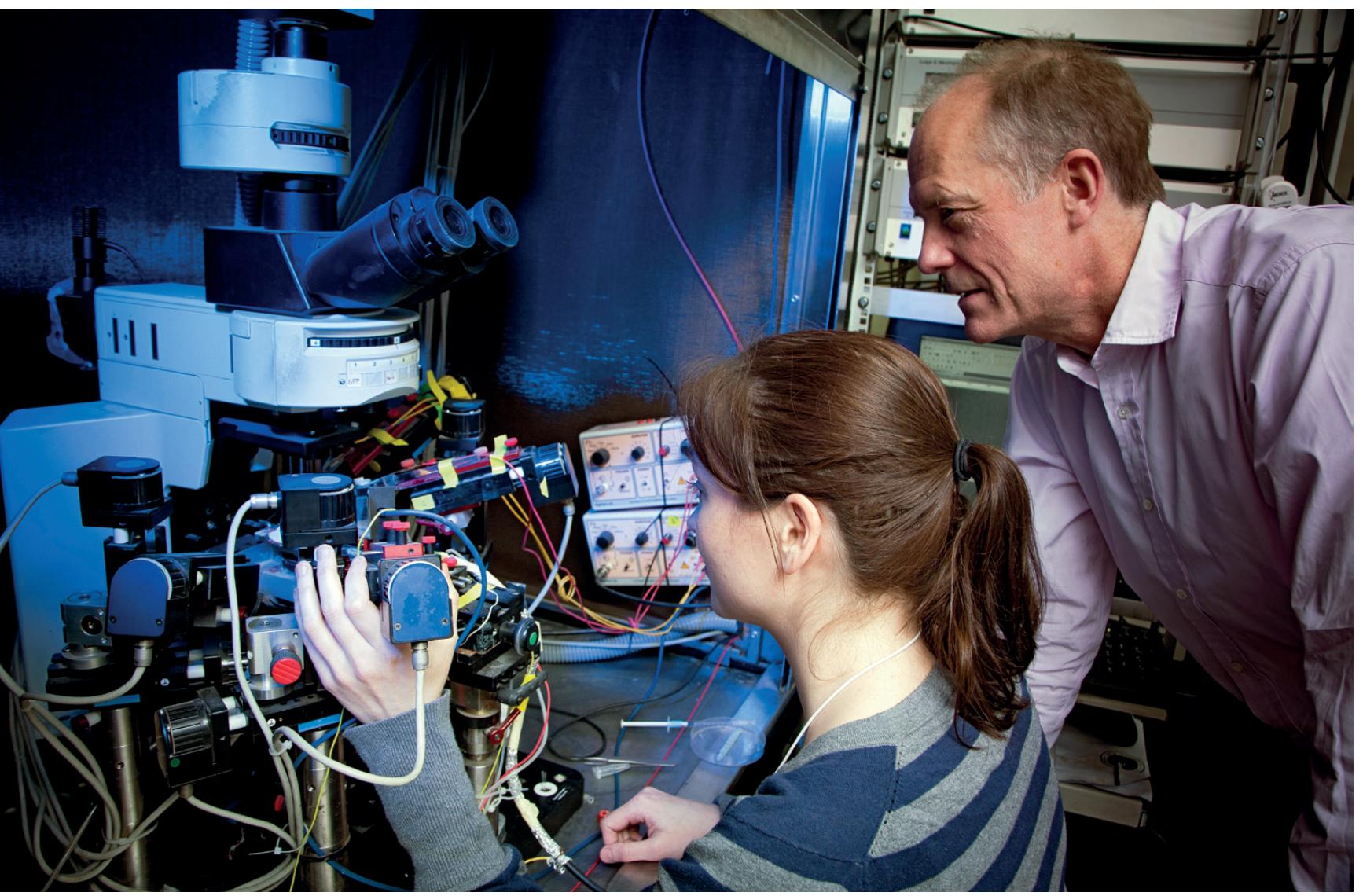 由基因决定的癫痫能治好吗,基因治疗癫痫进展