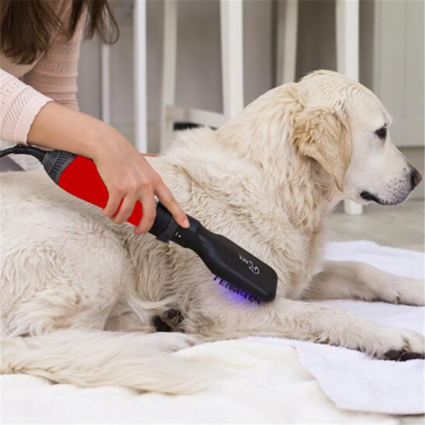 如何让狗狗乖乖的洗澡剪毛,新手怎么给狗狗边吹边梳毛