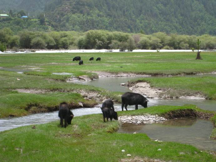 女孩独自一个人去旅游的心理,独自一人去西藏在哪里最好