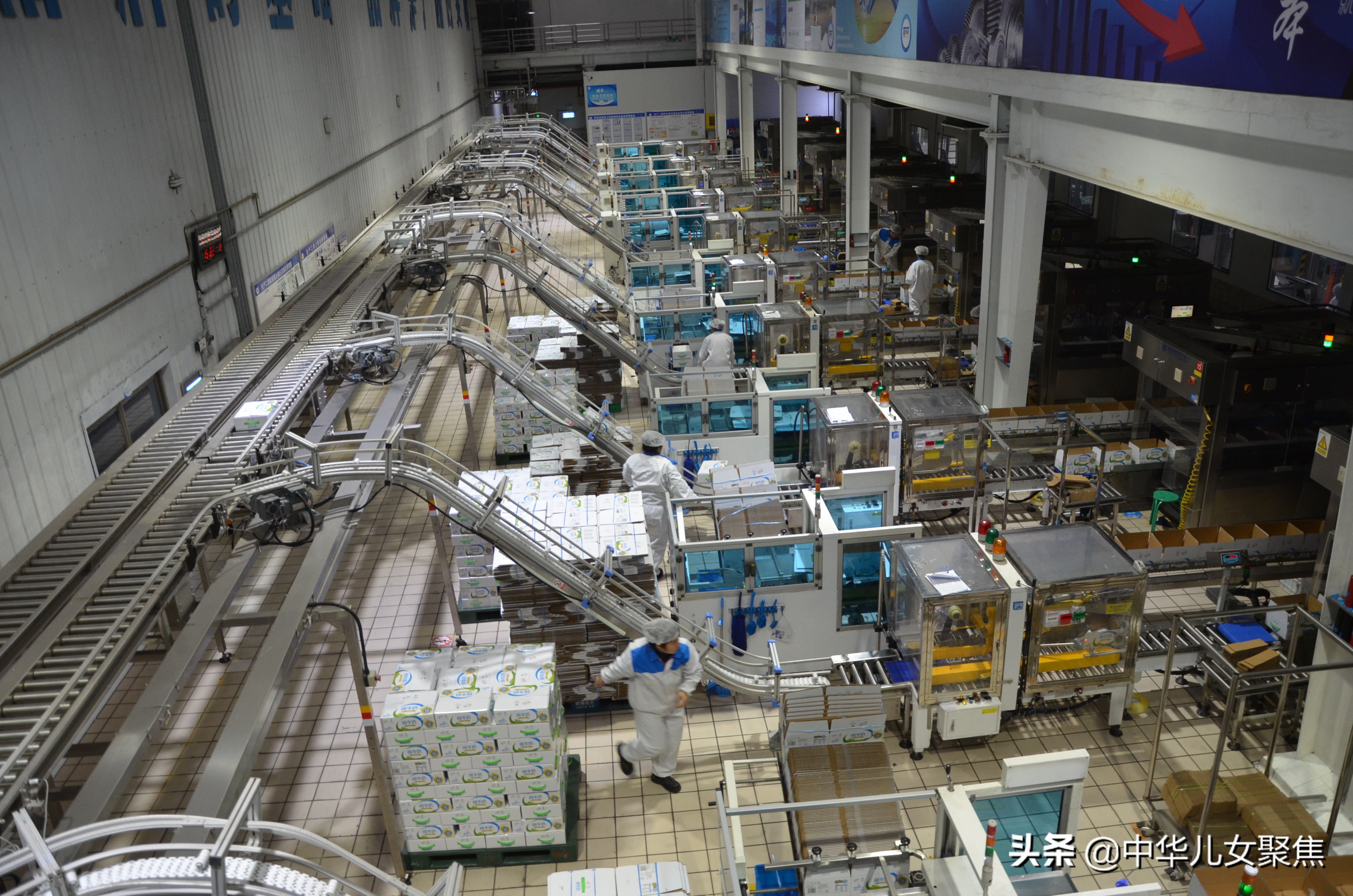 伊利学生饮用奶好不好呀,伊利学生饮用奶