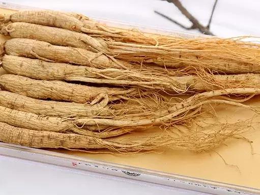 康芝仁中医馆资兴,康芝仁中医馆电话