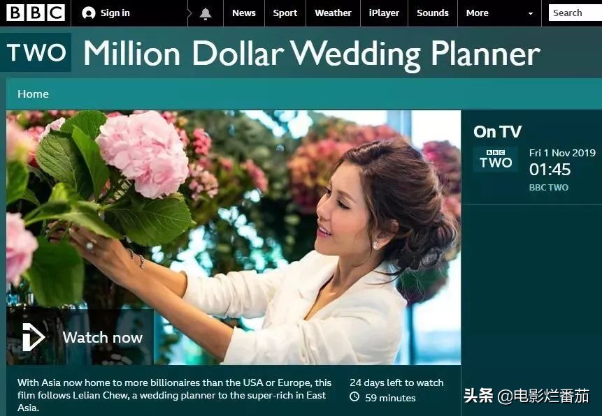 bbc纪录片chinesenewyear,bbc真实故事电视剧