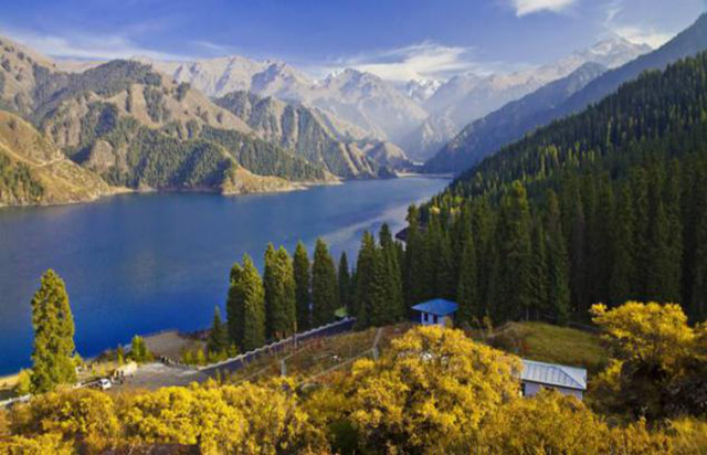 椋為┌鏂扮枂,椹伴獘鐤嗗煙鏃呮父