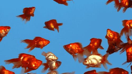 亚洲最狂野女导演，一年出3部新片，半个演艺圈为她站台