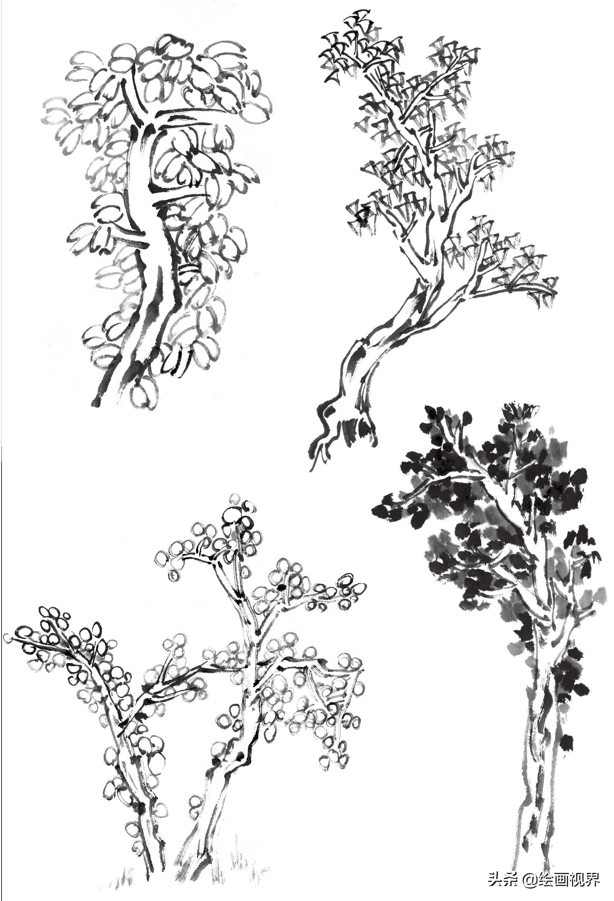国画双钩树的画法入门,国画杂树与山石的画法图片