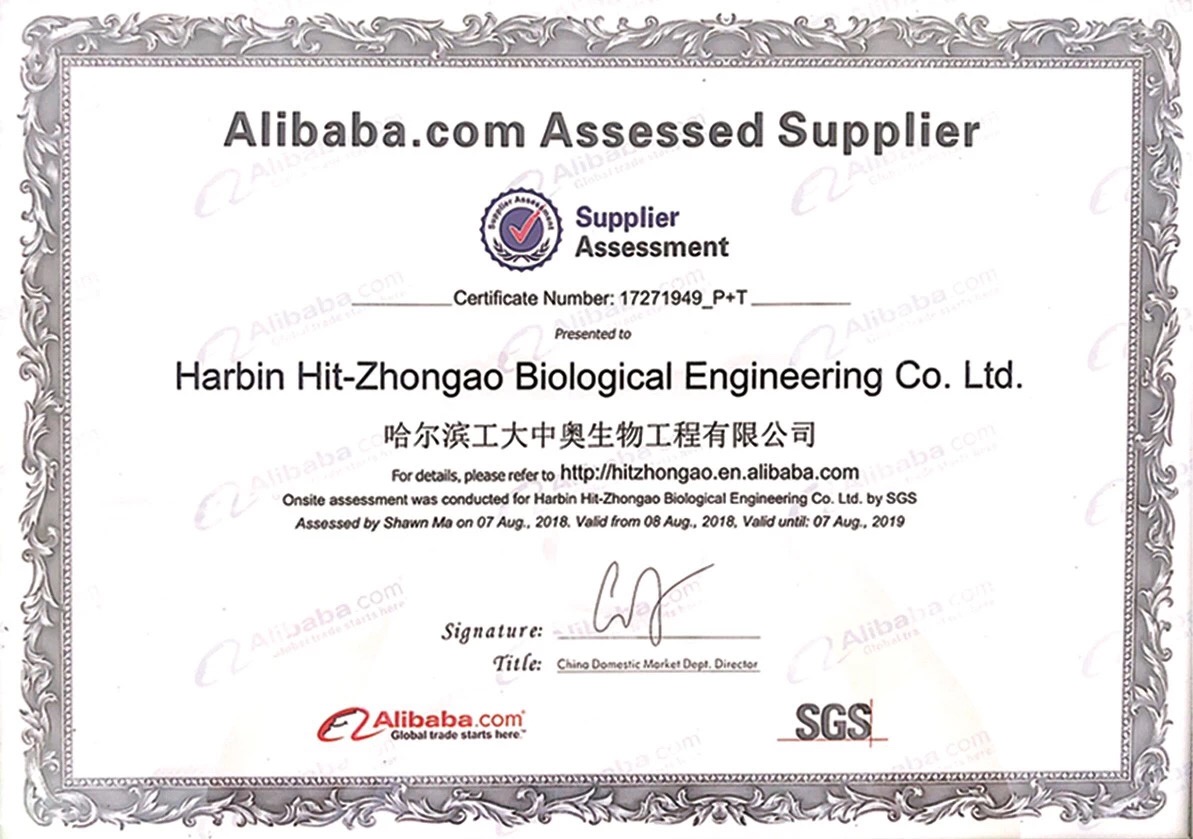 一直在路上的励志短句,一直在路上的文案高级感