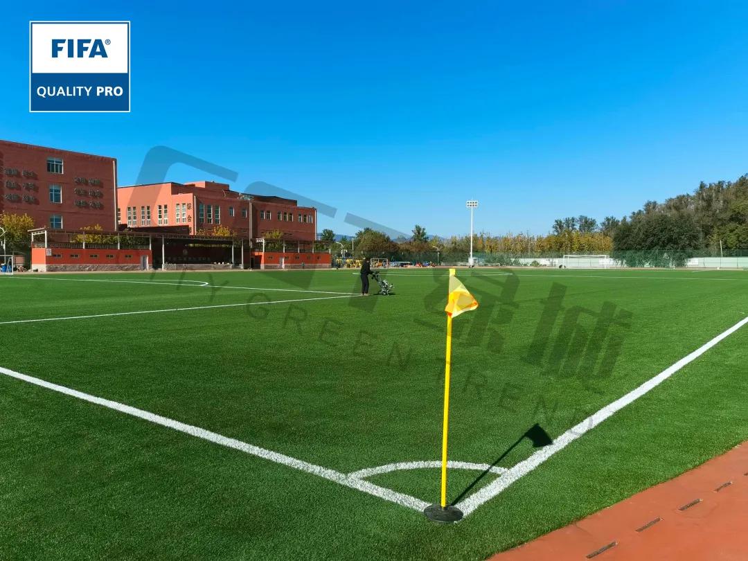 cgt缁垮煄鑻辫秴,cgt缁垮煄浣撹偛浜т笟闆嗗洟