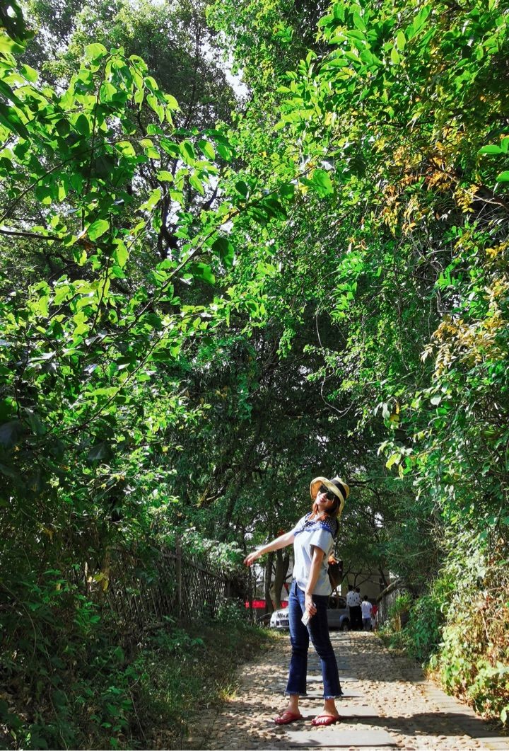 牙套日记全部视频,牙套日记100篇