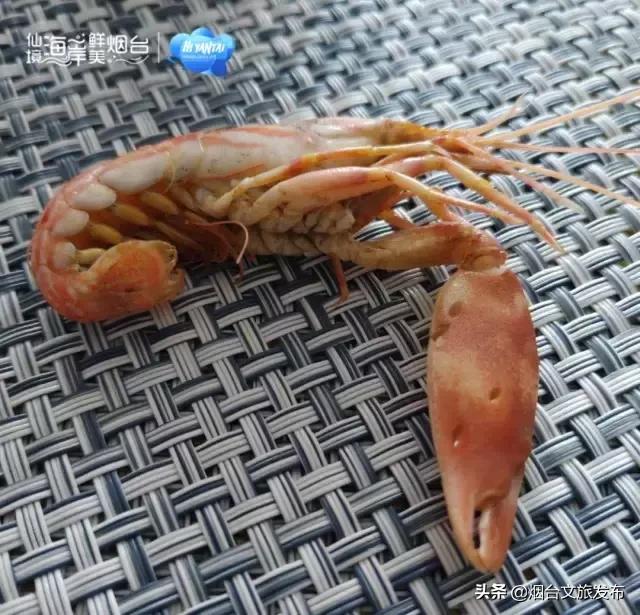 一个小时看见一片海，30分钟摆满一桌鲜