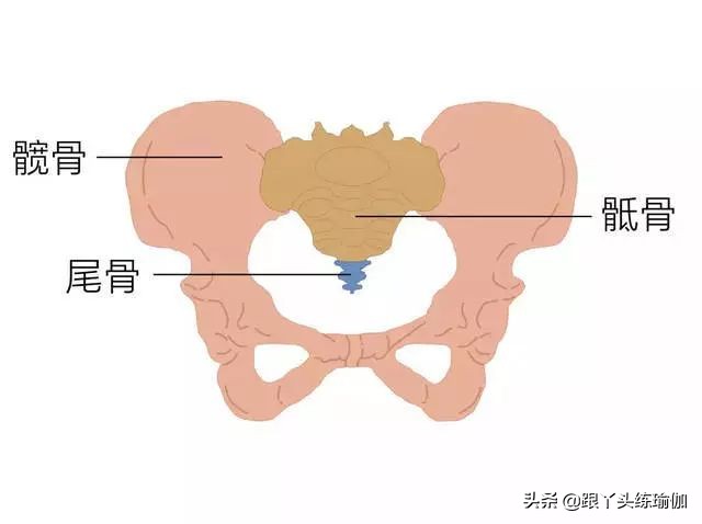 骨盆正位怎么摆,什么样的骨盆需要矫正