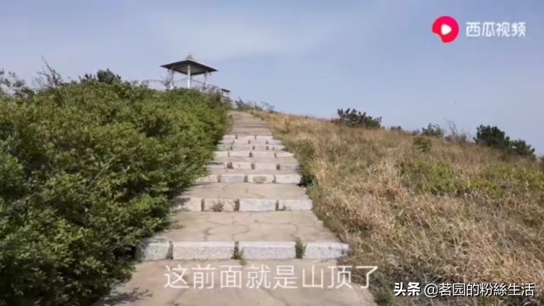 沈阳怪坡虎园,沈阳怪坡