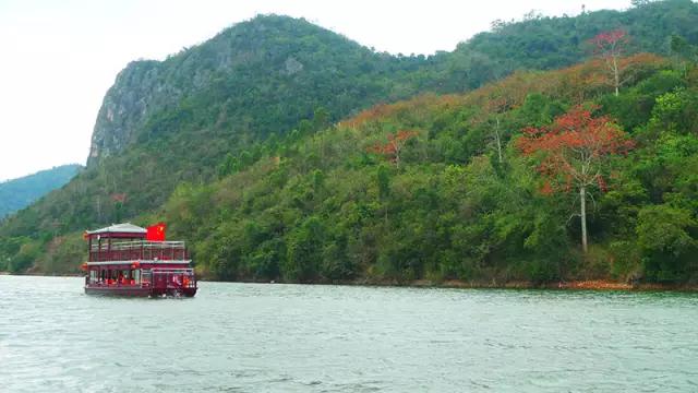 昌江原生态热带雨林森林秘境,海南万宁一个被大自然宠爱的地方