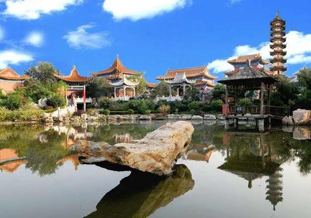 津南区打架,津南区打架视频