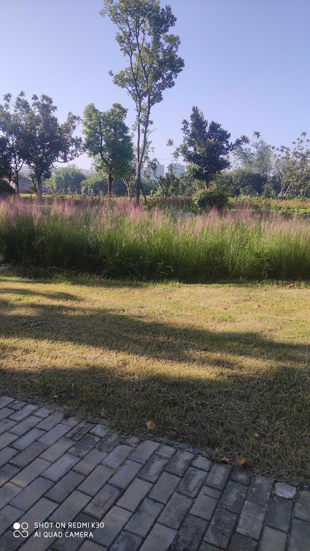 小学校门口小吃加盟店排行榜,适合学校门口的暴利小吃生意