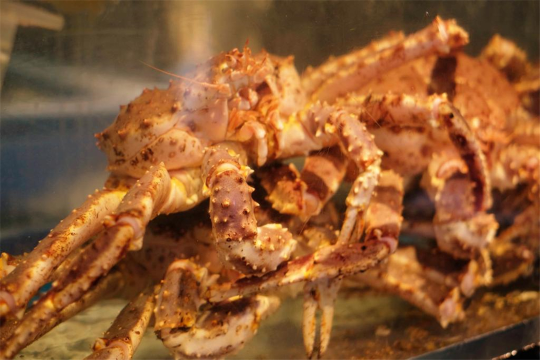 日本札幌县,日本札幌市一年四季