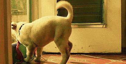 如何判断自己的内衣冷不冷,怎样判断自己的内衣是否太紧