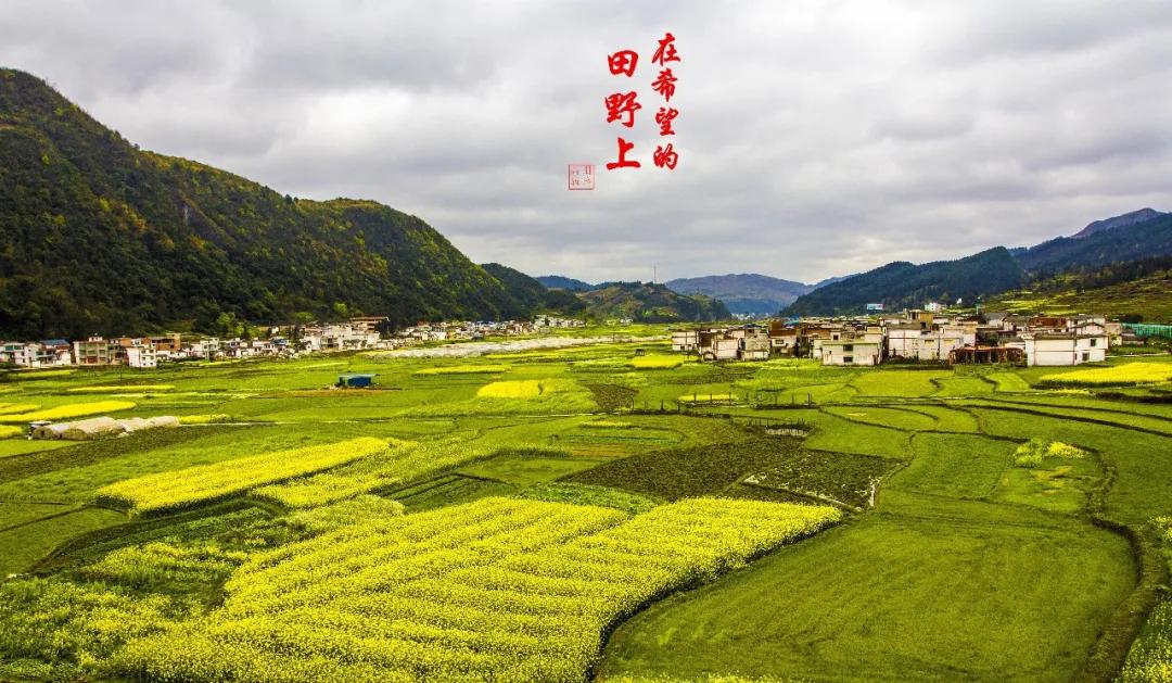 户口迁过来了学校不接收怎么办,户籍变了可以转学吗