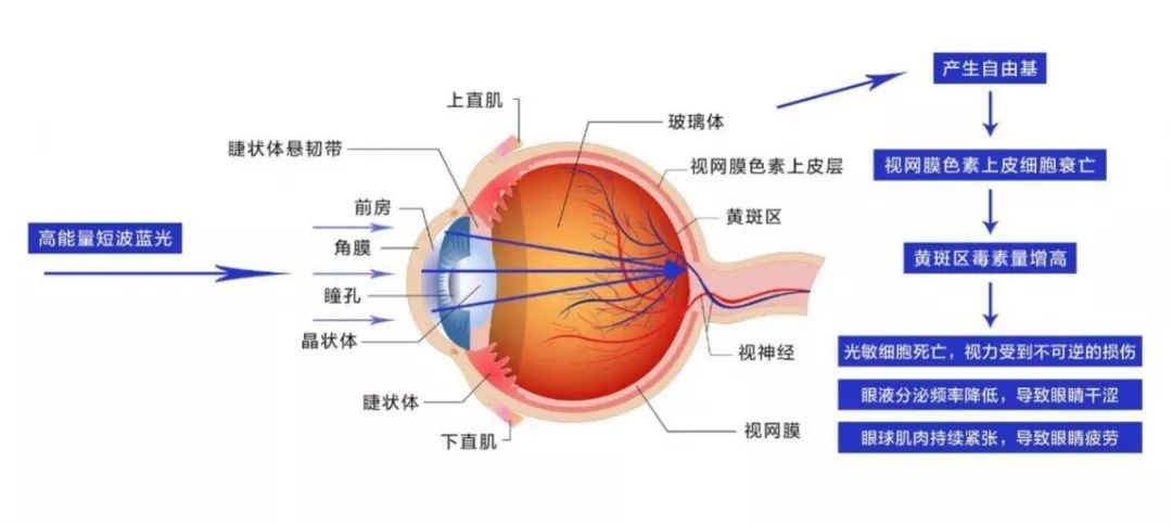 led灯选购,led灯珠的选购技巧