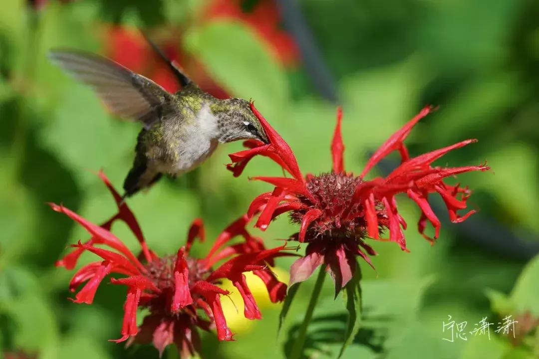 手把手教你成为摄影师,一步步教你做视频剪辑师