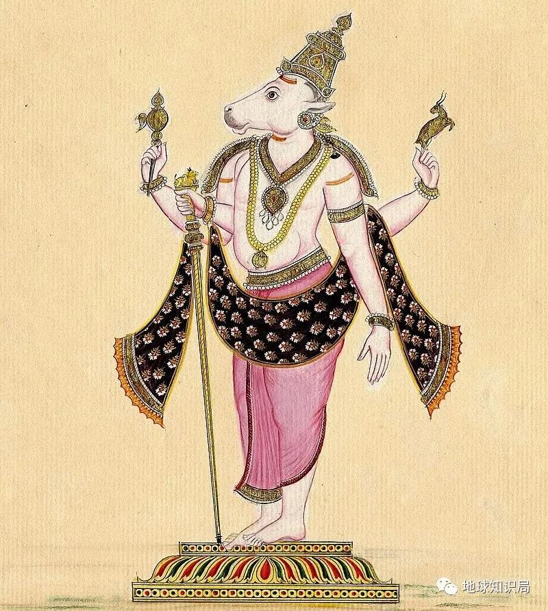 印度不让吃鸡肉吗,印度是不吃牛肉的国家吗