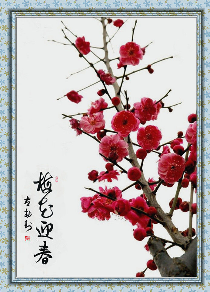 兵网愉悦交流群“总结表彰暨迎新春联欢晚会”