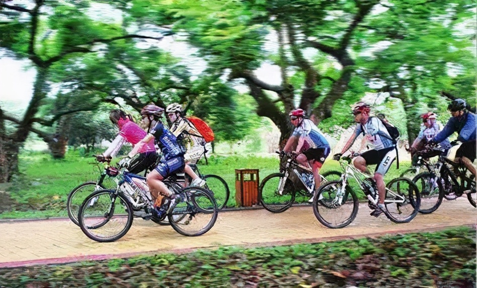 拓展基地打卡景观,拓展基地广东