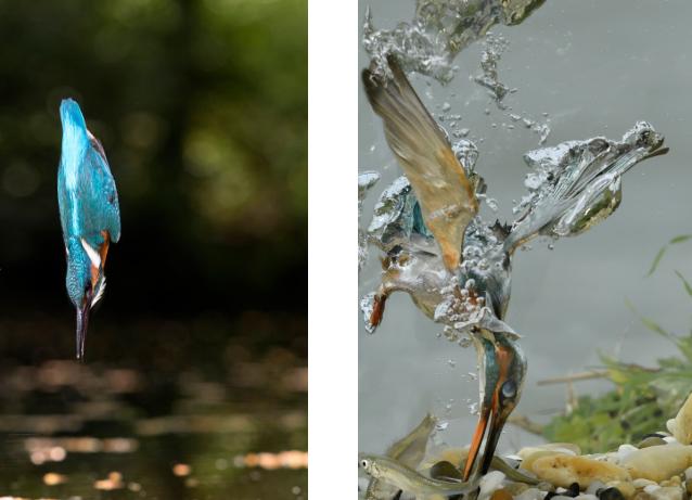 嫦娥五号打水漂视频,嫦娥五号的水漂