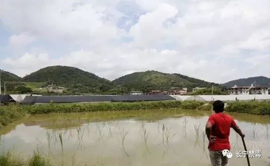 静脉注射补气血效果,静脉注射恢复血管弹性