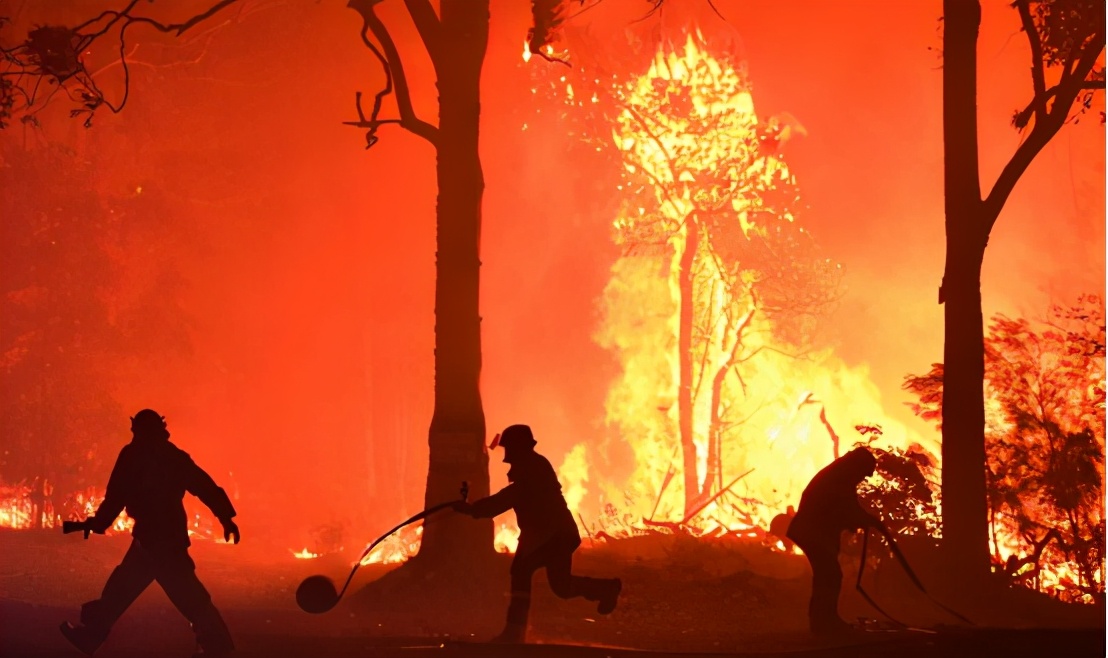 澳大利亚山火再次燃烧，火势已难以扑灭，祸根是4万年前留下的