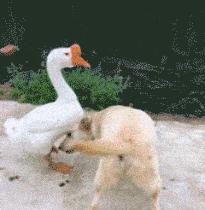 常见的20种网赚骗术揭秘,韭菜有效套路