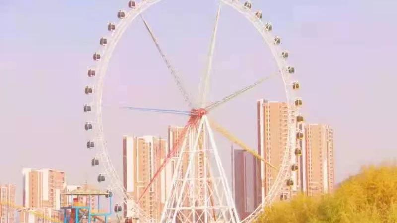 “我是女同性恋者”