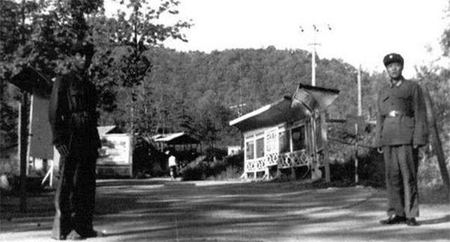 黑龙江深山里的工厂,深山神秘工厂图片