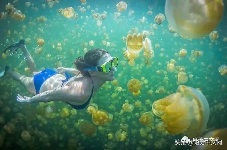 甯曞姵姘存瘝婀栫殑姘存瘝鍙互鎽稿悧,甯曞姵姘存瘝杩樿兘鎶撳悧