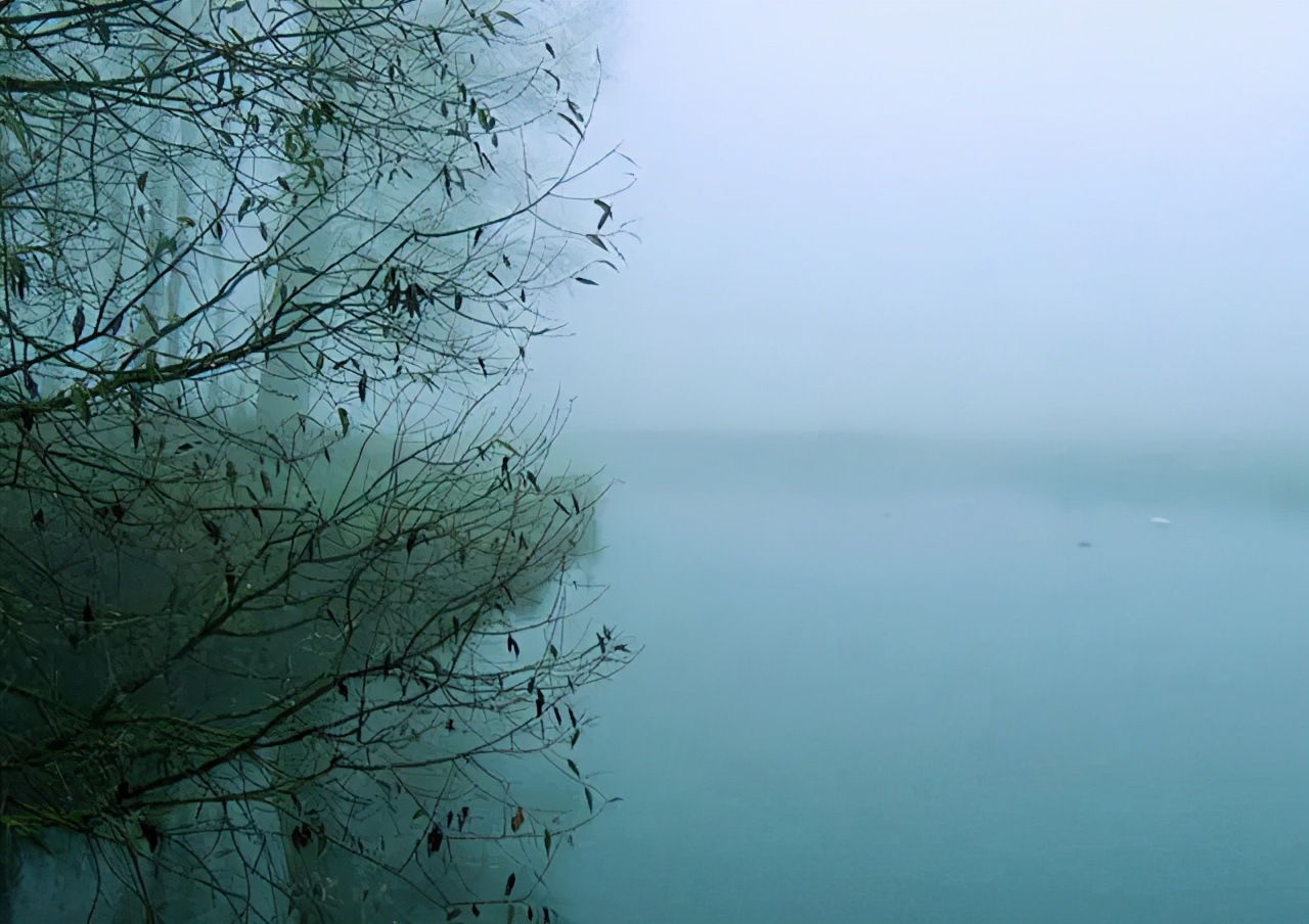 带上单筒望远镜吧！去南汇