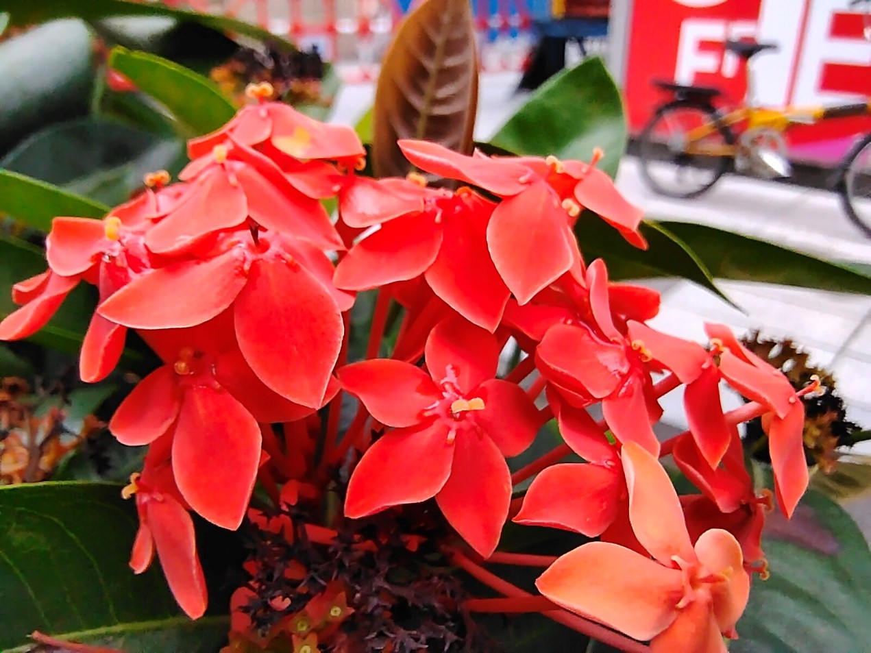 iqooz1x测评什么处理器,iqooz1x评测值得买吗