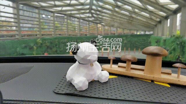 最新扬州东关街停车推荐,扬州打卡测评