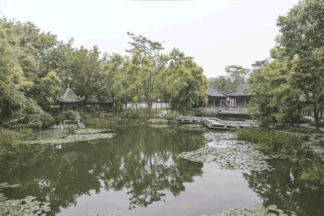 深圳龙华适合小孩子玩的免费景点,深圳适合一日游好玩的地方推荐