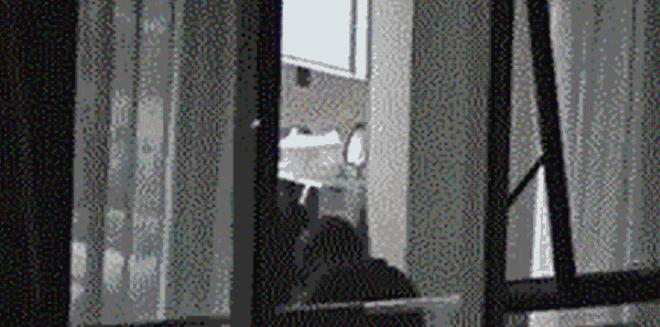 王菲谢霆锋世纪大复合大牵手图片,王菲牵谢霆锋经典瞬间