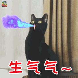 会杀死猫咪的小佩猫窝，请立刻停用