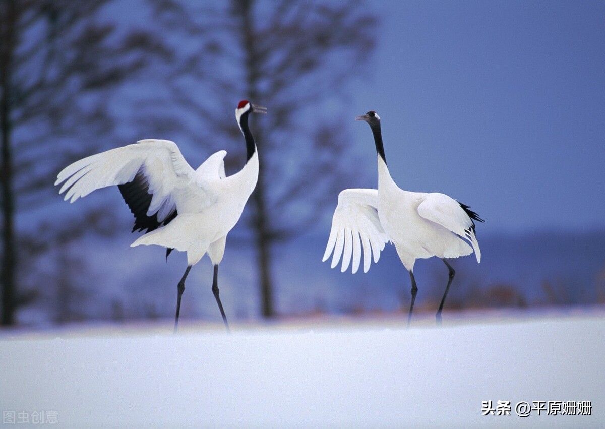 鐪熷亣鏃犱粠鏌ヨ瘉,鐪熷亣闅捐鲸鑷繁鐭ラ亾