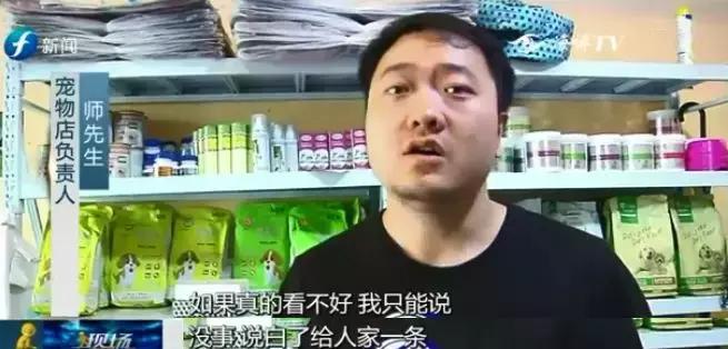 宠物狗买回来过几天病死怎么维权,厦门宠物店