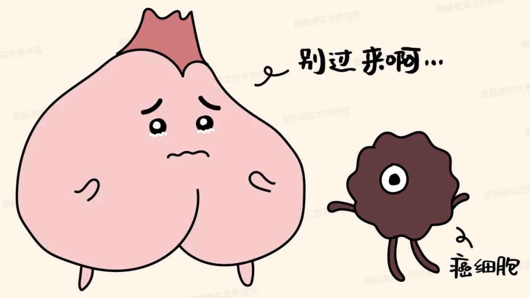 便秘肛门口堵得慌,便秘导致肛门堵得难受